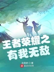 王者荣耀之有我无敌 王者荣耀之有我无敌