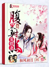 腹黑驸马爱俏妻 腹黑驸马爱俏妻